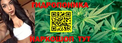 молекула духа Гусев