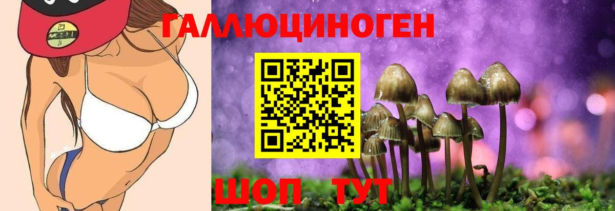 Галлюциногенные грибы ЛСД Костомукша